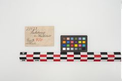 Etikett zu Bronzekugelkopfnadel (NHMW-PRAE-025133)